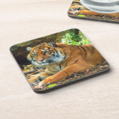 Tiger Wisdom Onderzetter Set (Linkerzijde)