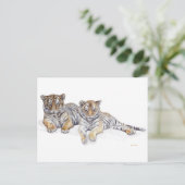 tigercubs briefkaart (Staand voorkant)