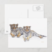 tigercubs briefkaart (Voorkant / Achterkant)