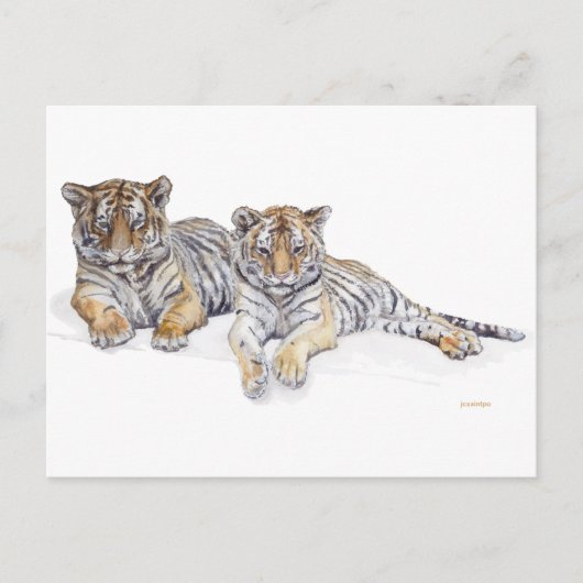 tigercubs briefkaart (Voorkant)