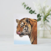 Tigers-eetlust Briefkaart (Staand voorkant)