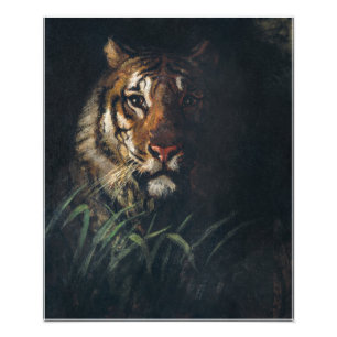 Tiger's Head-schilderij van Abbott Handerson Thaye Foto Afdruk
