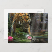 TIGERS HEBBEN WILDE VREDE NODIG BRIEFKAART (Voorkant / Achterkant)