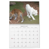 Tigers Kalender (Mar 2027)