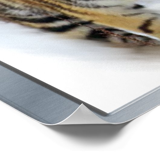 Tigers Lovers Art Poster (Hoek)