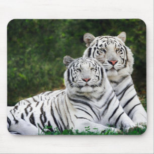 Tigers Muismat