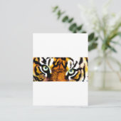 TIGER'S OGEN. BRIEFKAART (Staand voorkant)