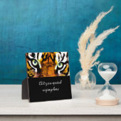 TIGER'S OGEN. FOTOPLAAT (Insitu)