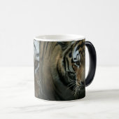 Tiger's oog magische mok (Voorkant rechts)