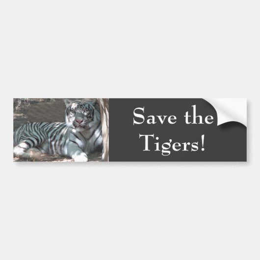 Tigers opslaan bumpersticker (Voorkant)