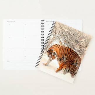 Tigers Planner