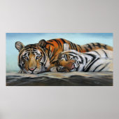 Tigers Poster (Voorkant)