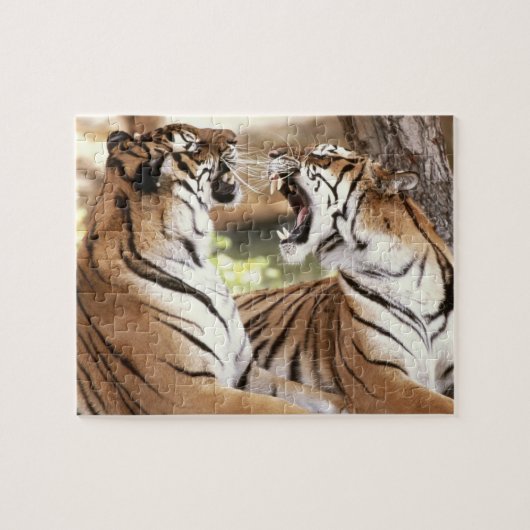 Tigers Puzzle Legpuzzel (Horizontaal)