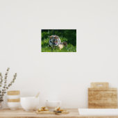 Tiger's roar poster (Keuken)