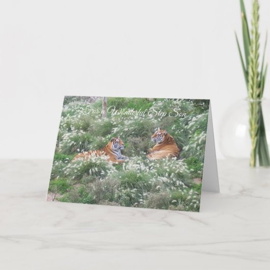 Tigers Step Son Birthday Kaart (Voorkant)