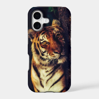 Tiger's Touch