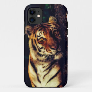 Tiger's Touch iPhone 11 Hoesje