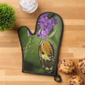 Tigerwing Butterfly  (De haut en bas)