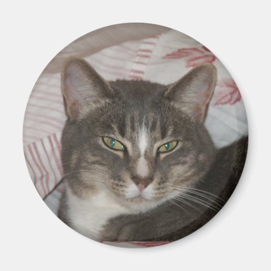 Tigger Magneet (Voorkant)