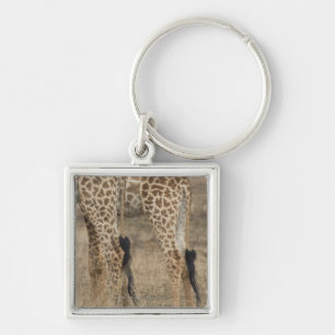 Tight crop of two Giraffe (Giraffa) Sleutelhanger