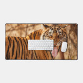 Tigre (Clavier et souris)