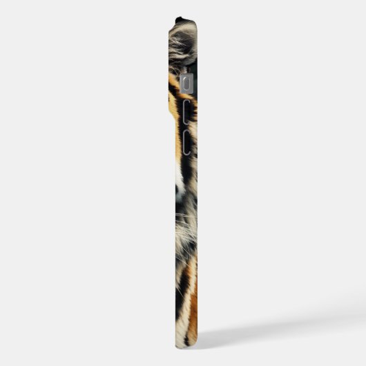 Tigre (Côté gauche)