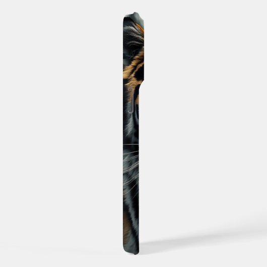 Tigre (Côté droit)