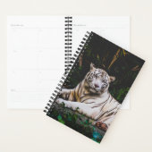 Tigre (Devant avec enveloppe)
