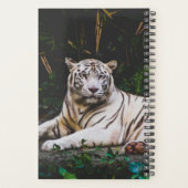 Tigre (Dos)