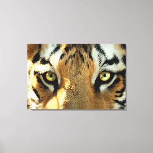 Tigre 1 - Toile enrobée (Recto)