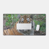 Tigre adorable (Clavier et souris)