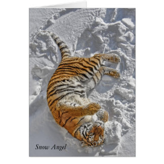 Tigre "ange de neige "
