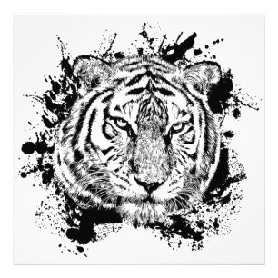 Tigre Animal Sauvage Oerwoud Safari Afrique Monde Foto Afdruk