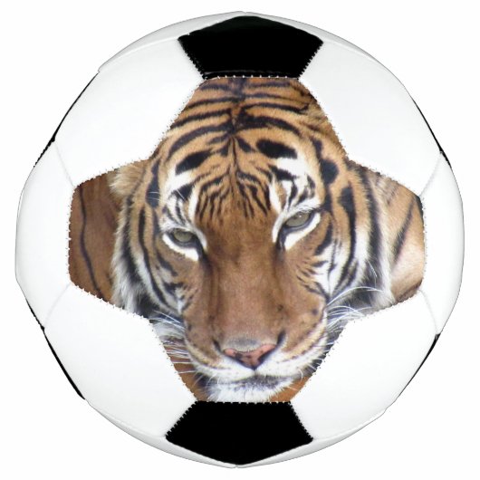 Tigre - Balle de Football (Devant)