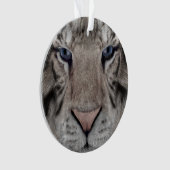 Tigre blanc (devant)