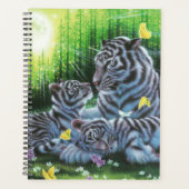 Tigre blanc (Devant)