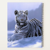 Tigre blanc (Dos)