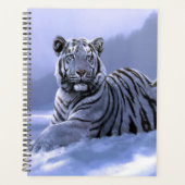Tigre blanc (Devant)