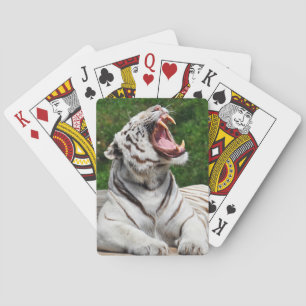 Tigre Blanc, Cartes à jouer au Tigre du Bengale