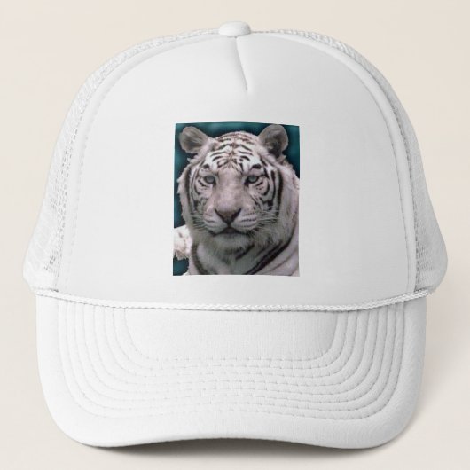 Tigre blanc, Casquette (Devant)