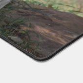 Tigre blanc en colère (Coin)