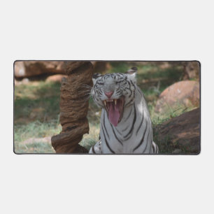 Tigre blanc en colère