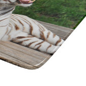 Tigre Blanc, Planche à Découper Tigre du Bengale (Coin)