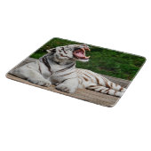 Tigre Blanc, Planche à Découper Tigre du Bengale (Coin)