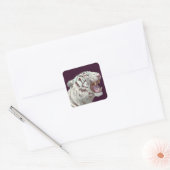 Tigre Blanc Pose Féroce – Autocollant (Enveloppe)