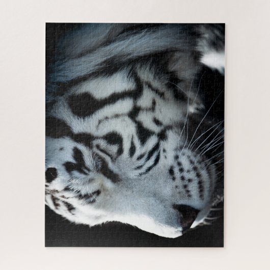 Tigre blanc, puzzle (Vertical)