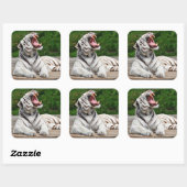 Tigre blanc, Sticker de tigre du Bengale (Feuille)