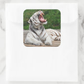 Tigre blanc, Sticker de tigre du Bengale (Sac)