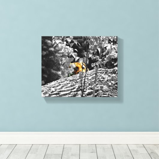Tigre Cache-cache Toile 10x8 (Insitu (Plancher de Bois))