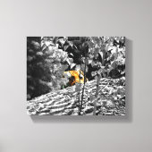 Tigre Cache-cache Toile 10x8 (Recto)